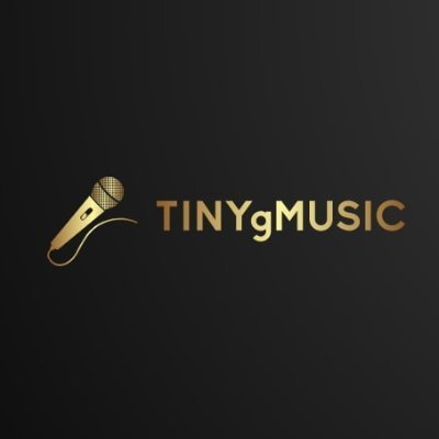 Kpop Content Writer at TINYgMusic (Unpaid)